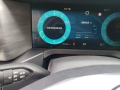 Tank 300 2021 Off-Road Edition 2.0T Conqueror - ფოტო 8