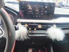 Geely Emgrand X3 PRO 1.5L CVT Luxury - ფოტო 14