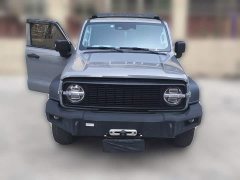 Tank 300 Off-Road Edition 2.0T Conqueror - ფოტო 2
