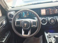 Tank 300 Off-Road Edition 2.0T Conqueror - ფოტო 6