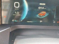 Tank 300 Off-Road Edition 2.0T Conqueror - ფოტო 8