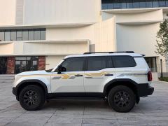 Toyota Prado 2.4T Wilderness WX 6-Seater - ფოტო 8