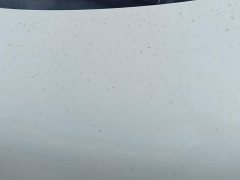 ORA White Cat 2020 401km Long Range - ფოტო 10