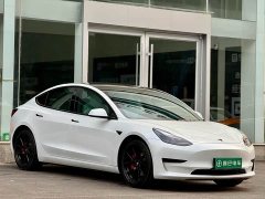 Tesla Model 3 Standard Range RWD Upgrade - ფოტო 5