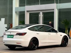 Tesla Model 3 Standard Range RWD Upgrade - ფოტო 6