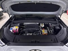 Chery Fengyun T9 120 Long Range Comfort 5-Seater Ternary Lithium - ფოტო 16