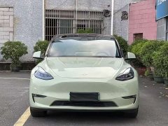Tesla Model Y Standard Range RWD - ფოტო 1