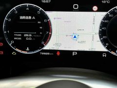 Tank 300 2021 Off-Road Edition 2.0T Challenger - ფოტო 6