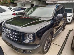 Great Wall Dachshund 2.0T DCT Four-Wheel Drive Chinese Rural Dog Edition - ფოტო 1