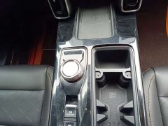 Great Wall Dachshund 2.0T DCT Four-Wheel Drive Chinese Rural Dog Edition - ფოტო 11