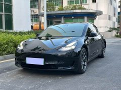 Tesla Model 3 Standard Range RWD Upgrade - ფოტო 1