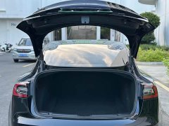 Tesla Model 3 Standard Range RWD Upgrade - ფოტო 12