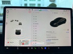Tesla Model 3 Standard Range RWD Upgrade - ფოტო 18