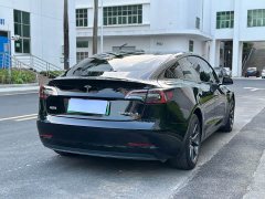 Tesla Model 3 Standard Range RWD Upgrade - ფოტო 4