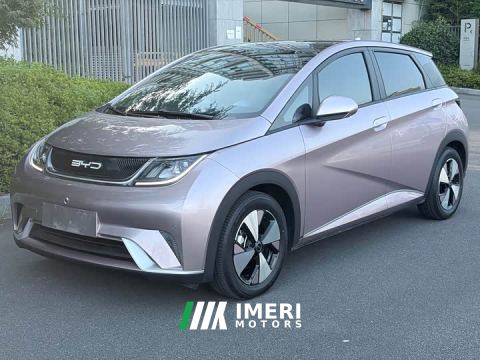 2024 BYD Dolphin Glory Edition 420km Fashion Version - car from China