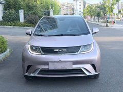 BYD Dolphin Glory Edition 420km Fashion Version - ფოტო 2