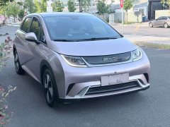 BYD Dolphin Glory Edition 420km Fashion Version - ფოტო 3