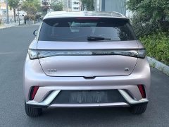 BYD Dolphin Glory Edition 420km Fashion Version - ფოტო 5