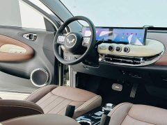Wuling Binguo 2023 410km Lingxi Premium Edition - ფოტო 16