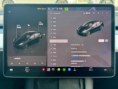 Tesla Model 3 2022 Rear-Wheel Drive - ფოტო 16
