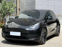 Tesla Model Y 2023 Rear-Wheel Drive - ფოტო 1