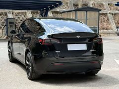 Tesla Model Y 2023 Rear-Wheel Drive - ფოტო 11