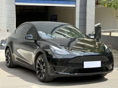 Tesla Model Y 2023 Rear-Wheel Drive - ფოტო 3