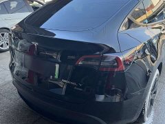 Tesla Model Y Rear-Wheel Drive - ფოტო 6