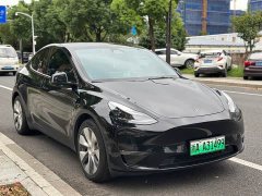 Tesla Model Y Rear-Wheel Drive - ფოტო 2
