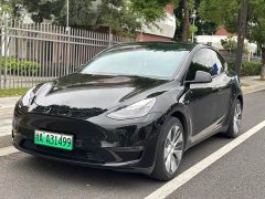 Tesla Model Y Rear-Wheel Drive - ფოტო 3