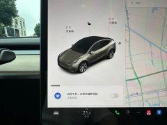 Tesla Model Y Rear-Wheel Drive - ფოტო 8