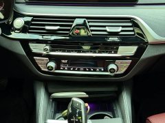 BMW 5 Series 530Li Luxury M Sport Package - ფოტო 17