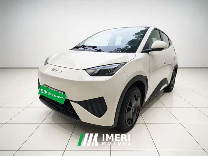 BYD Seagull 305km Vitality Edition - ავტომობილი ჩინეთიდან