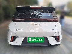 BYD Seagull 305km Vitality Edition - ფოტო 3