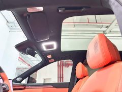 Zeekr Geely Zeekr 7X 75kWh Rear-Wheel Drive MAX - ფოტო 16
