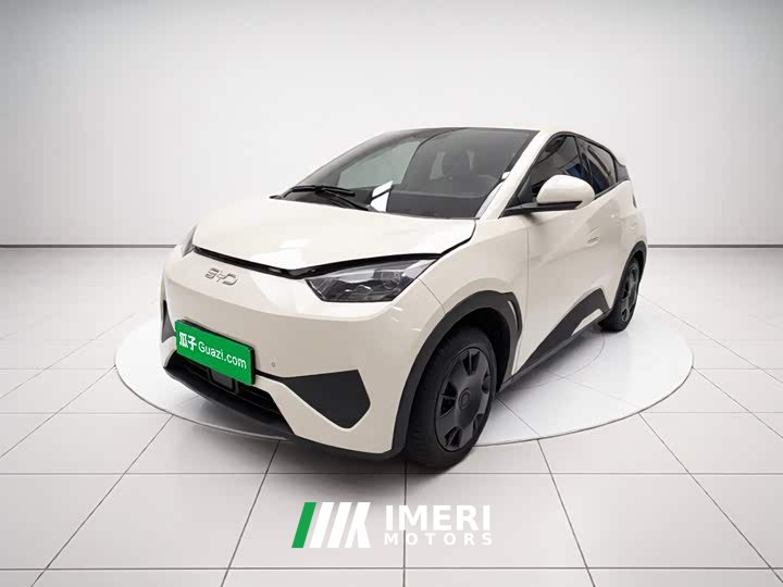 BYD Seagull Smart Drive 305km Vitality Edition - ავტომობილი ჩინეთიდან