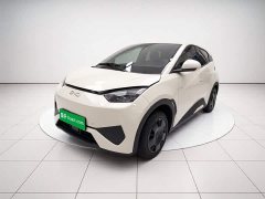BYD Seagull Smart Drive 305km Vitality Edition - ფოტო 1