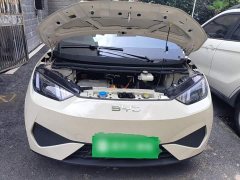 BYD Seagull Smart Drive 305km Vitality Edition - ფოტო 16