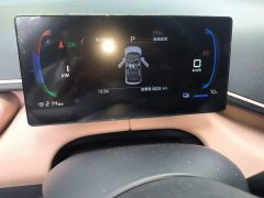 BYD Seagull Smart Drive 305km Vitality Edition - ფოტო 8