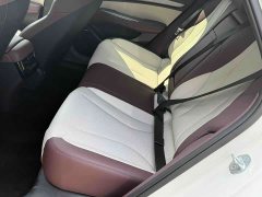 BYD Dolphin 07 DM-i 1.5T 230km Flagship - ფოტო 6