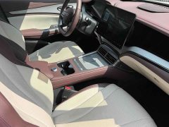 BYD Dolphin 07 DM-i 1.5T 230km Flagship - ფოტო 9