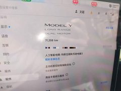 Tesla Model Y 2022 Facelift Long Range All-Wheel Drive - ფოტო 13