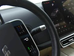 Li Auto L8 Pro - ფოტო 10