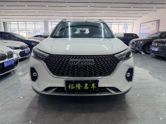 Haval M6 PLUS 1.5T DCT Luxury Smart Connected Edition - ფოტო 2