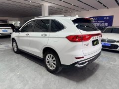 Haval M6 PLUS 1.5T DCT Luxury Smart Connected Edition - ფოტო 6
