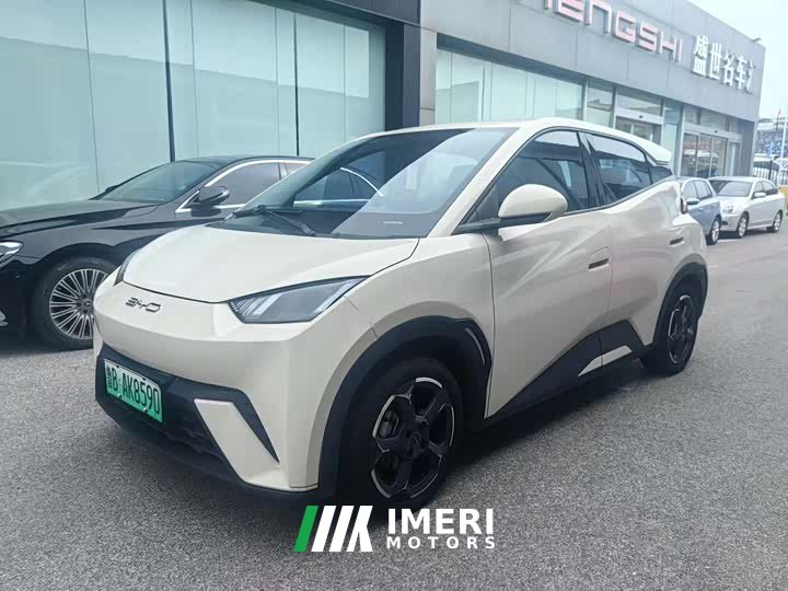 BYD Seagull Glory Edition 405km Flying Edition - ავტომობილი ჩინეთიდან