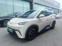 BYD Seagull Glory Edition 405km Flying Edition - ფოტო 1