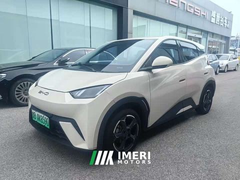 2024 BYD Seagull Glory Edition 405km Flying Edition - car from China