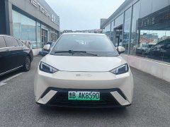 BYD Seagull Glory Edition 405km Flying Edition - ფოტო 2