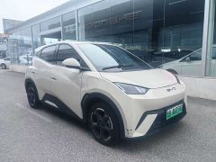 BYD Seagull Glory Edition 405km Flying Edition - ფოტო 3